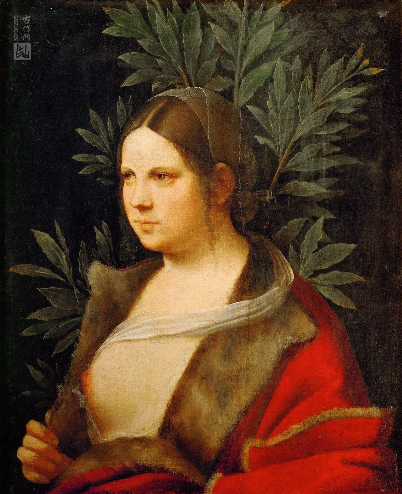 乔尔乔内油画肖像作品《一个年轻女人的肖像》
