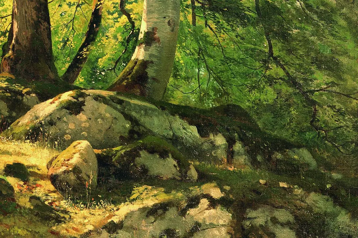 希施金油画风景《瑞士的水青冈森林》局部 (2)