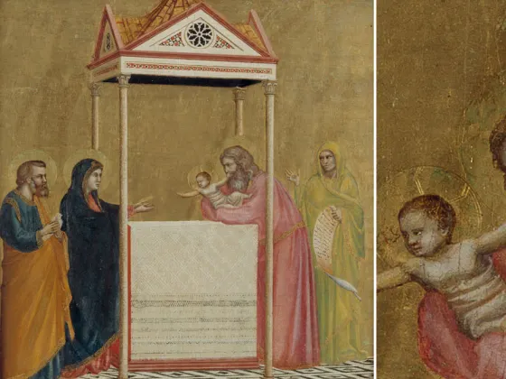 乔托作品《婴儿耶稣在圣殿中的呈献（圣婴呈献）》