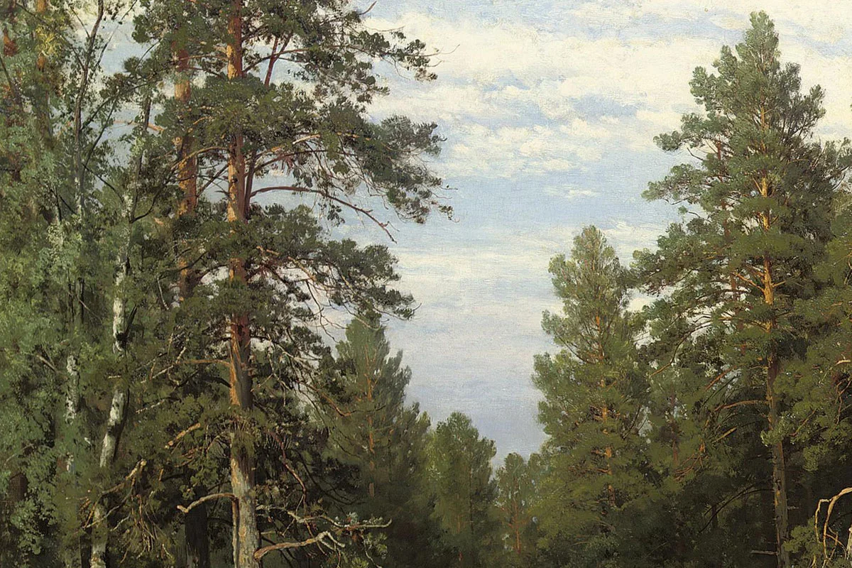 希施金森林风景画《维亚特卡的松林》局部 (4)